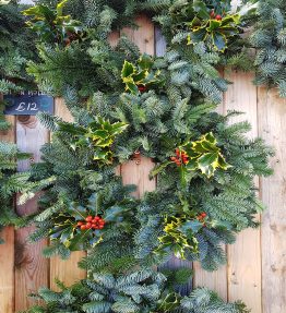 Natural 8 inch Holly Wreath